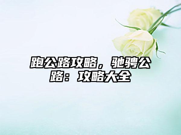 跑公路攻略，驰骋公路：攻略大全