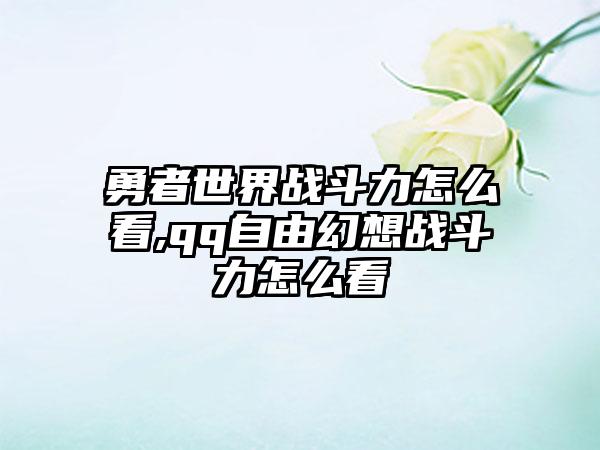 勇者世界战斗力怎么看,qq自由幻想战斗力怎么看