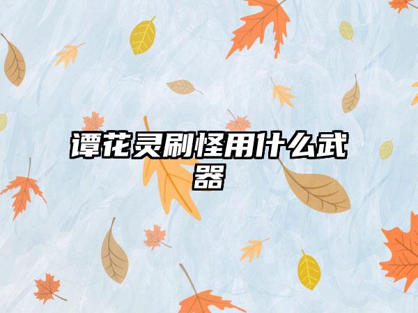 谭花灵刷怪用什么武器