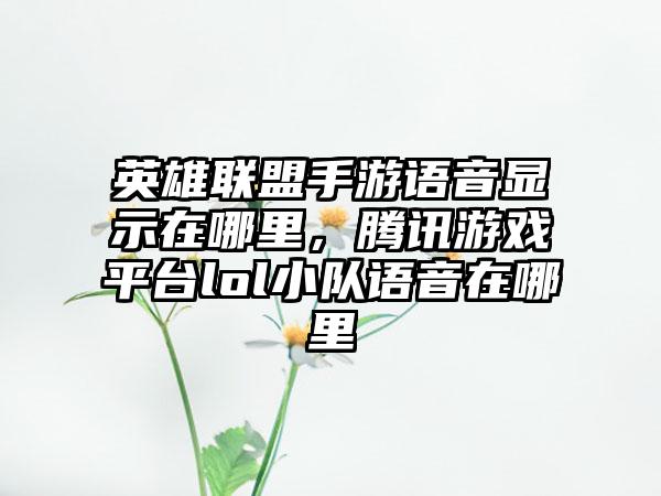 英雄联盟手游语音显示在哪里，腾讯游戏平台lol小队语音在哪里