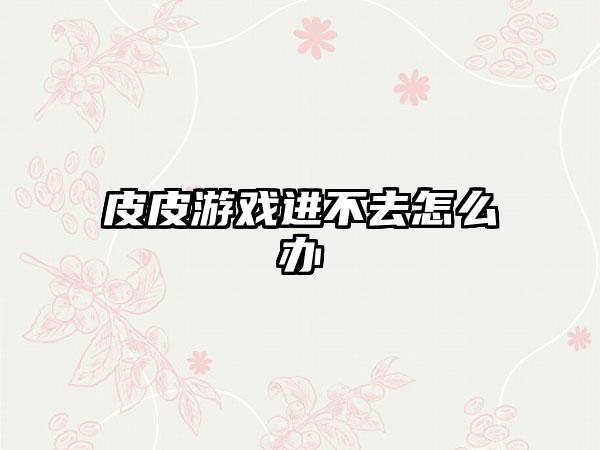 皮皮游戏进不去怎么办