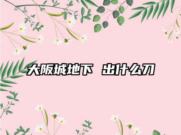 大阪城地下 出什么刀