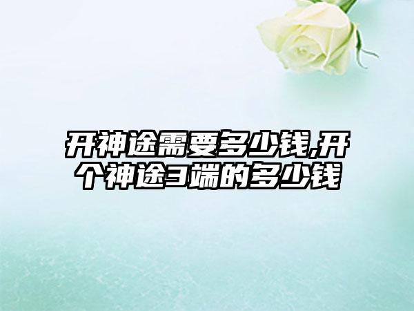 开神途需要多少钱,开个神途3端的多少钱
