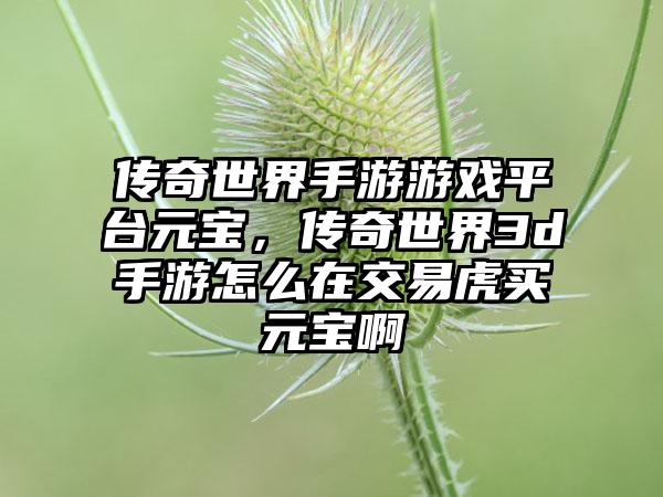 传奇世界手游游戏平台元宝，传奇世界3d手游怎么在交易虎买元宝啊
