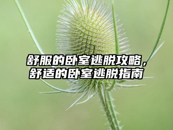 舒服的卧室逃脱攻略，舒适的卧室逃脱指南