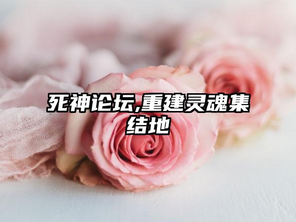 死神论坛,重建灵魂集结地