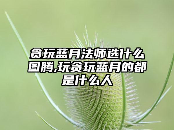 贪玩蓝月法师选什么图腾,玩贪玩蓝月的都是什么人