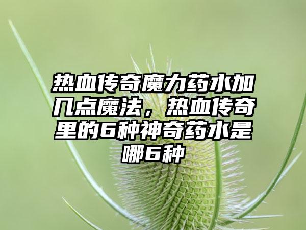 热血传奇魔力药水加几点魔法，热血传奇里的6种神奇药水是哪6种