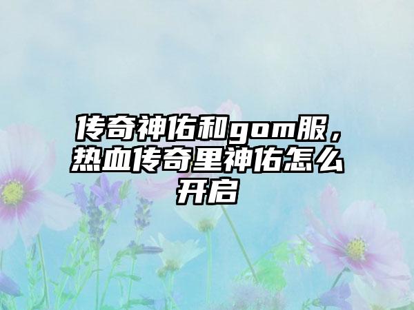 传奇神佑和gom服，热血传奇里神佑怎么开启