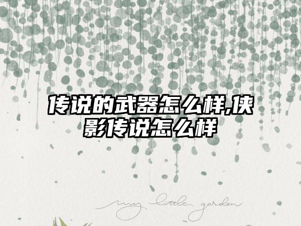 传说的武器怎么样,侠影传说怎么样