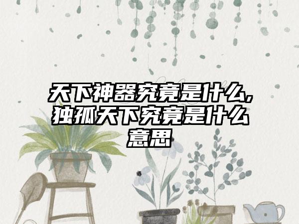 天下神器究竟是什么,独孤天下究竟是什么意思