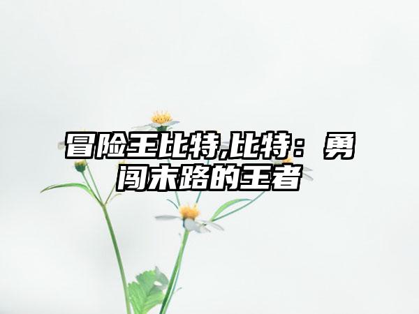 冒险王比特,比特：勇闯末路的王者