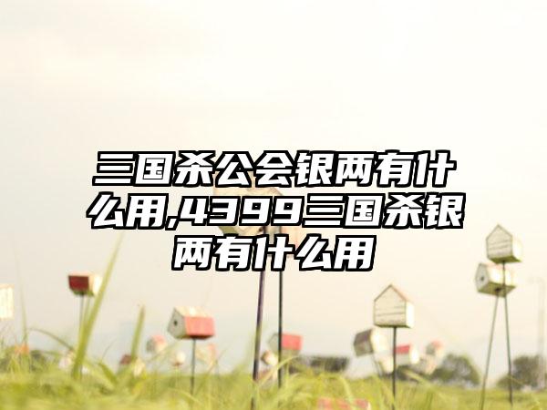 三国杀公会银两有什么用,4399三国杀银两有什么用