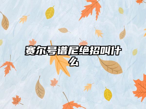 赛尔号谱尼绝招叫什么