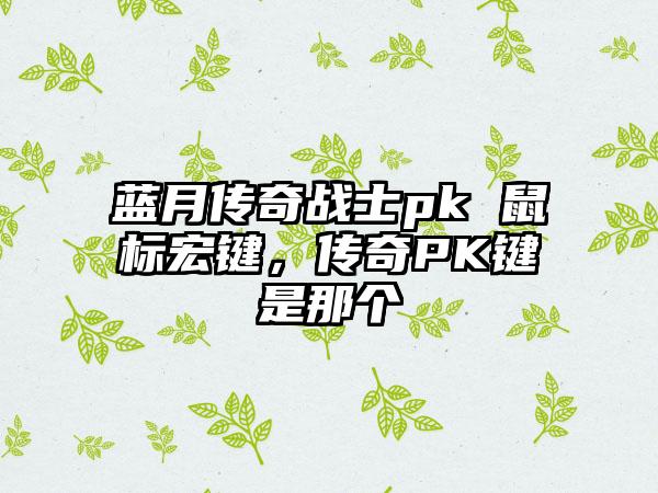 蓝月传奇战士pk 鼠标宏键，传奇PK键是那个