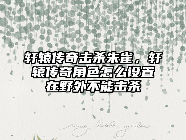 轩辕传奇击杀朱雀，轩辕传奇角色怎么设置在野外不能击杀