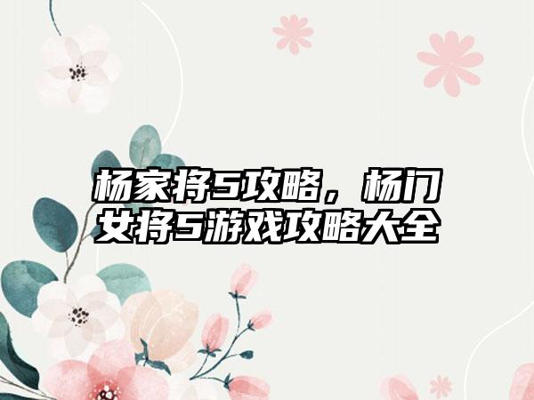 杨家将5攻略，杨门女将5游戏攻略大全