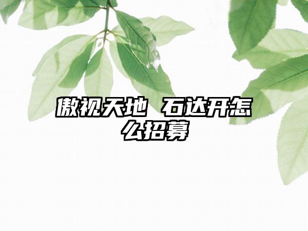 傲视天地 石达开怎么招募