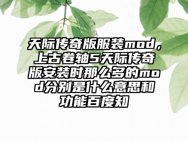 天际传奇版服装mod，上古卷轴5天际传奇版安装时那么多的mod分别是什么意思和功能百度知