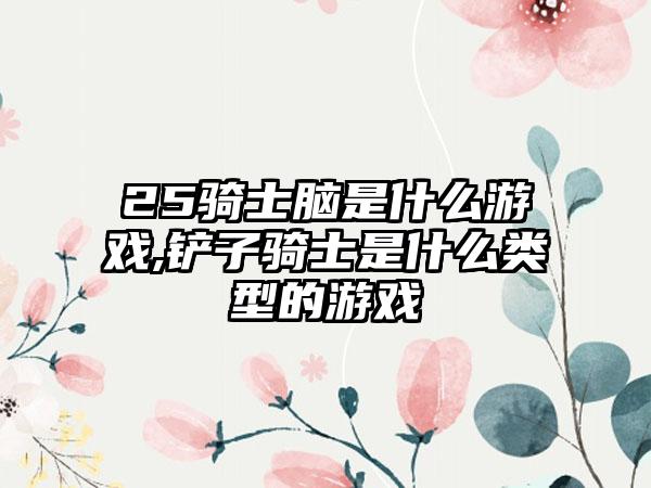 25骑士脑是什么游戏,铲子骑士是什么类型的游戏