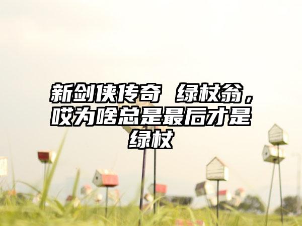 新剑侠传奇 绿杖翁，哎为啥总是最后才是绿杖