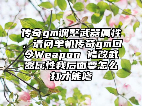 传奇gm调整武器属性，请问单机传奇gm口令Weapon 修改武器属性我后面要怎么打才能修