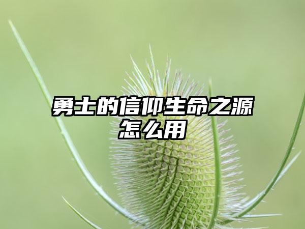 勇士的信仰生命之源怎么用