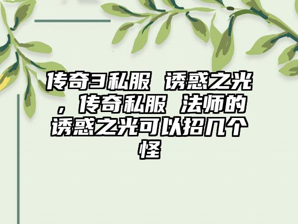 传奇3私服 诱惑之光，传奇私服 法师的诱惑之光可以招几个怪