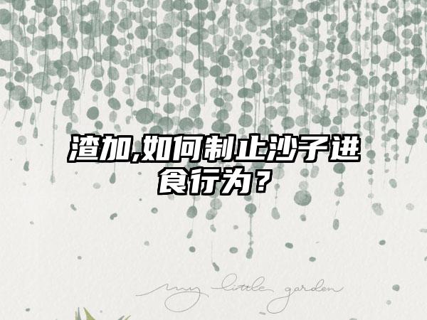 渣加,如何制止沙子进食行为？