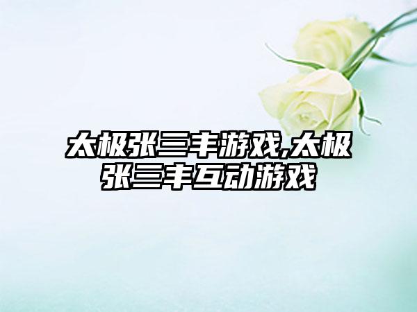 太极张三丰游戏,太极张三丰互动游戏