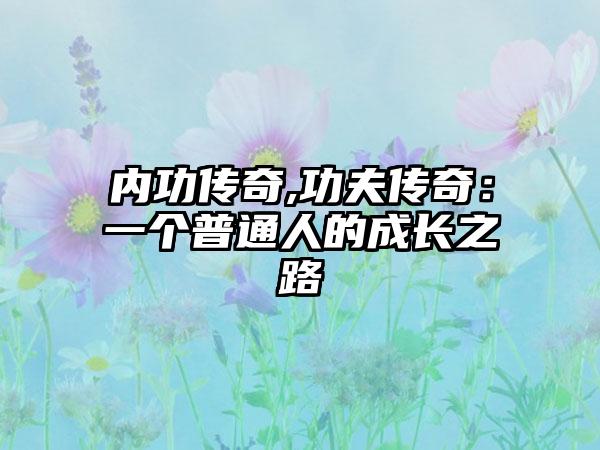 内功传奇,功夫传奇：一个普通人的成长之路