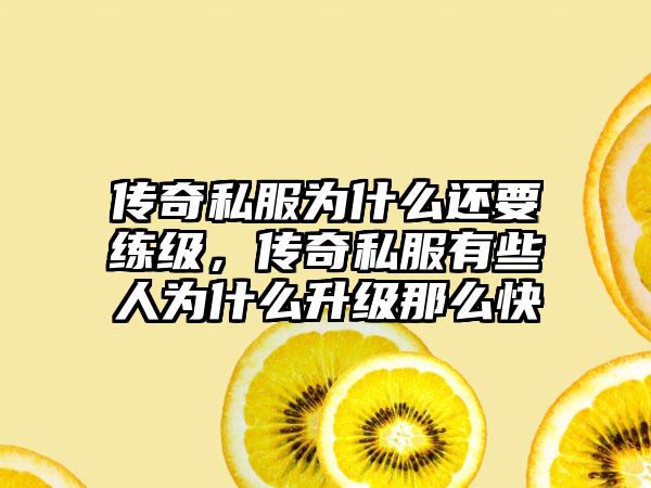 传奇私服为什么还要练级，传奇私服有些人为什么升级那么快