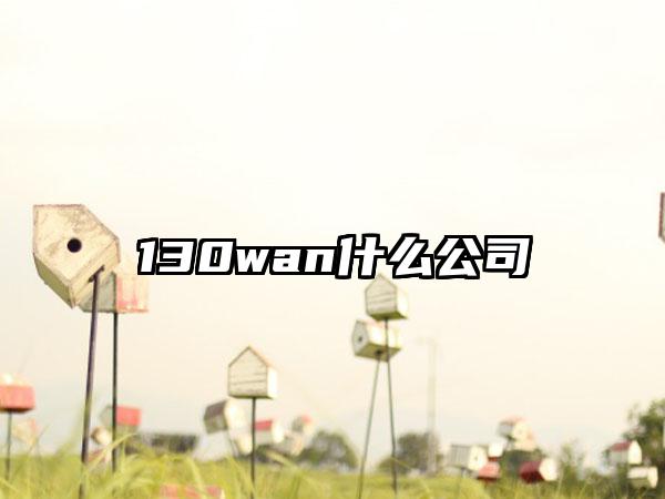 130wan什么公司