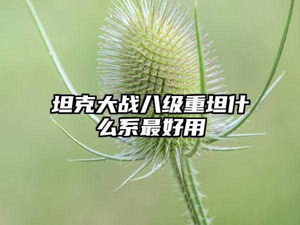 坦克大战八级重坦什么系最好用