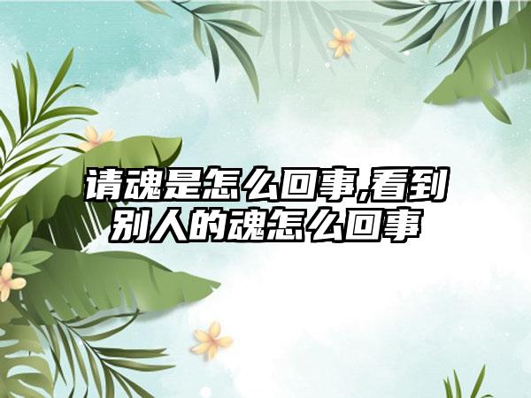 请魂是怎么回事,看到别人的魂怎么回事