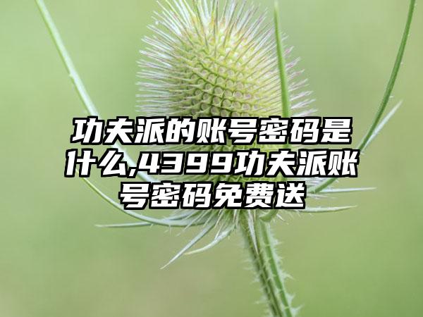 功夫派的账号密码是什么,4399功夫派账号密码免费送