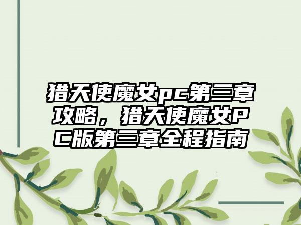 猎天使魔女pc第三章攻略，猎天使魔女PC版第三章全程指南