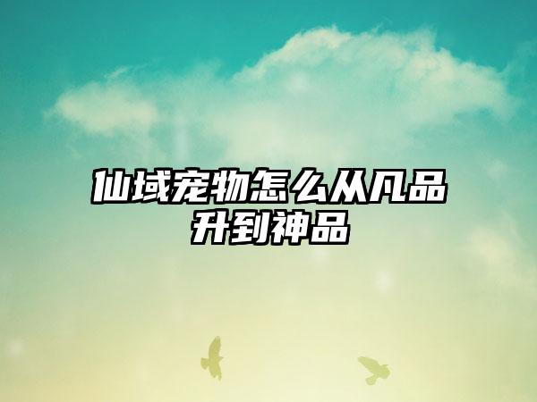 仙域宠物怎么从凡品升到神品