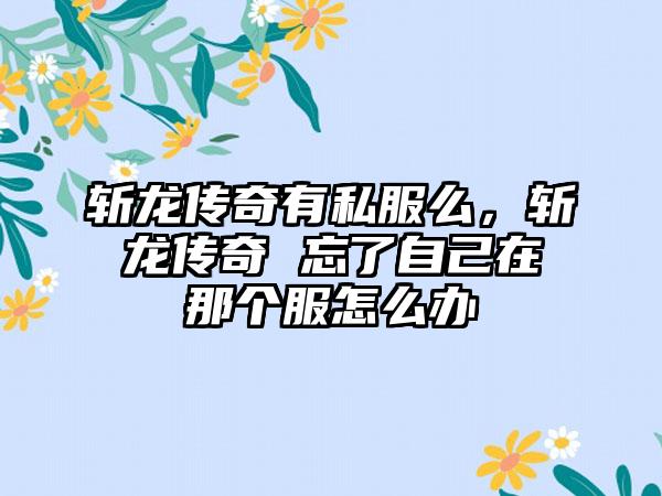 斩龙传奇有私服么，斩龙传奇 忘了自己在那个服怎么办