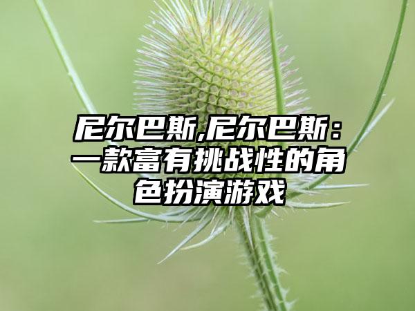 尼尔巴斯,尼尔巴斯：一款富有挑战性的角色扮演游戏
