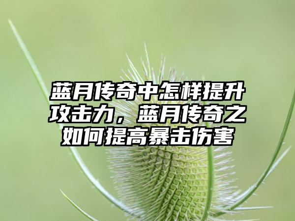 蓝月传奇中怎样提升攻击力，蓝月传奇之如何提高暴击伤害