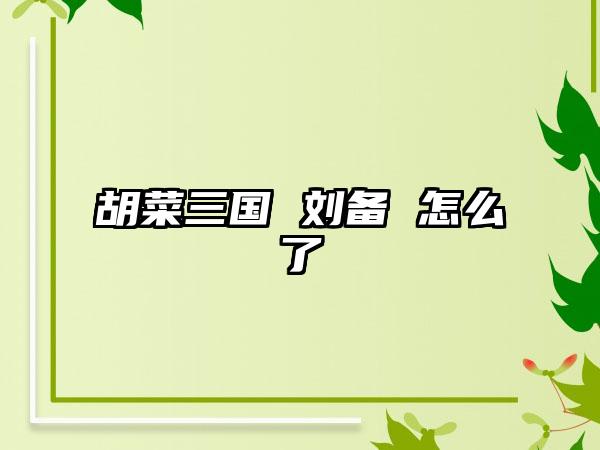 胡菜三国 刘备 怎么了