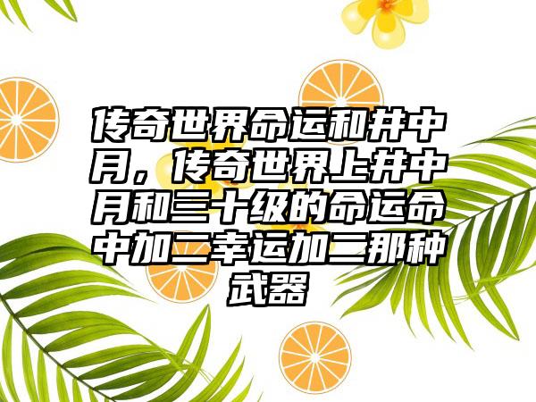 传奇世界命运和井中月，传奇世界上井中月和三十级的命运命中加二幸运加二那种武器