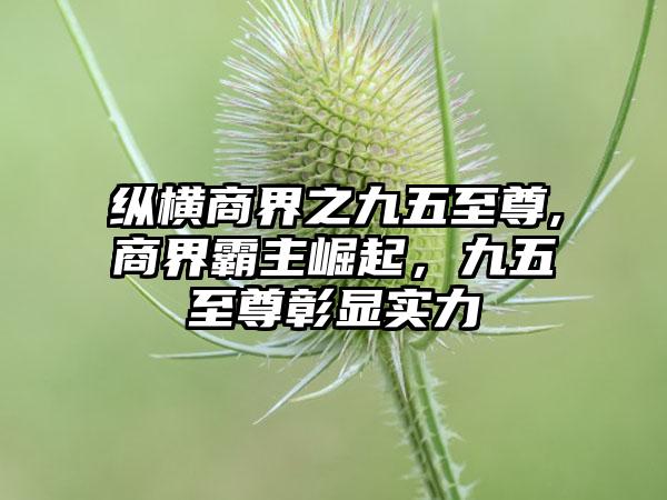 纵横商界之九五至尊,商界霸主崛起，九五至尊彰显实力