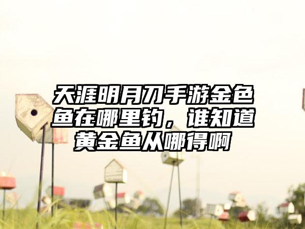 天涯明月刀手游金色鱼在哪里钓，谁知道黄金鱼从哪得啊