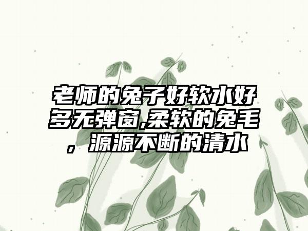 老师的兔子好软水好多无弹窗,柔软的兔毛，源源不断的清水