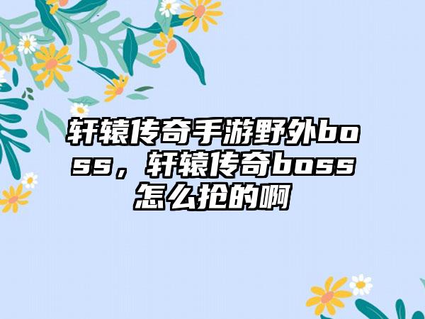 轩辕传奇手游野外boss，轩辕传奇boss怎么抢的啊