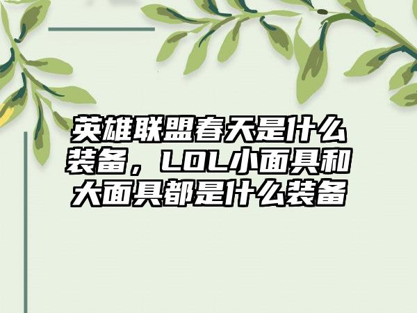 英雄联盟春天是什么装备，LOL小面具和大面具都是什么装备