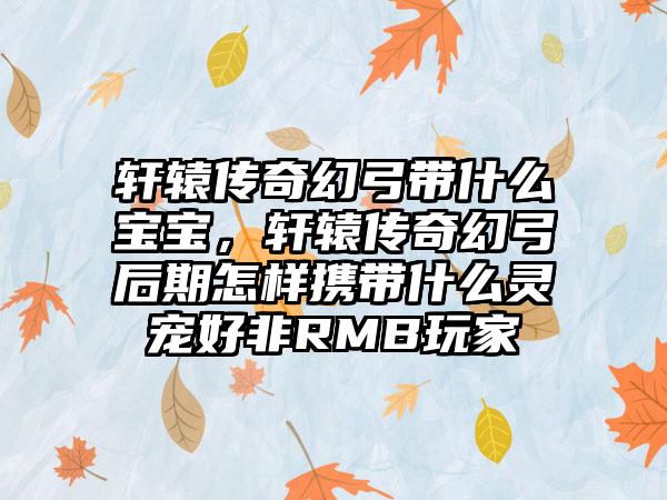轩辕传奇幻弓带什么宝宝，轩辕传奇幻弓后期怎样携带什么灵宠好非RMB玩家