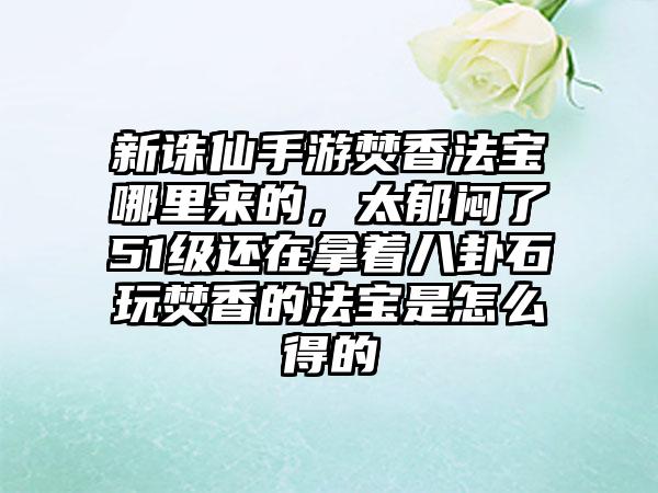 新诛仙手游焚香法宝哪里来的，太郁闷了51级还在拿着八卦石玩焚香的法宝是怎么得的